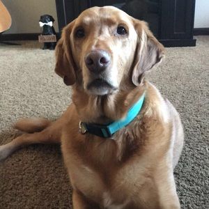 Meet your Posher, Hailee